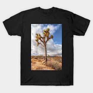 Joshua Tree color T-Shirt